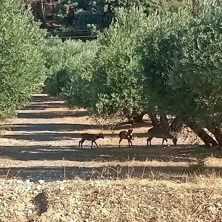 San Julian Ξενοδοχείο